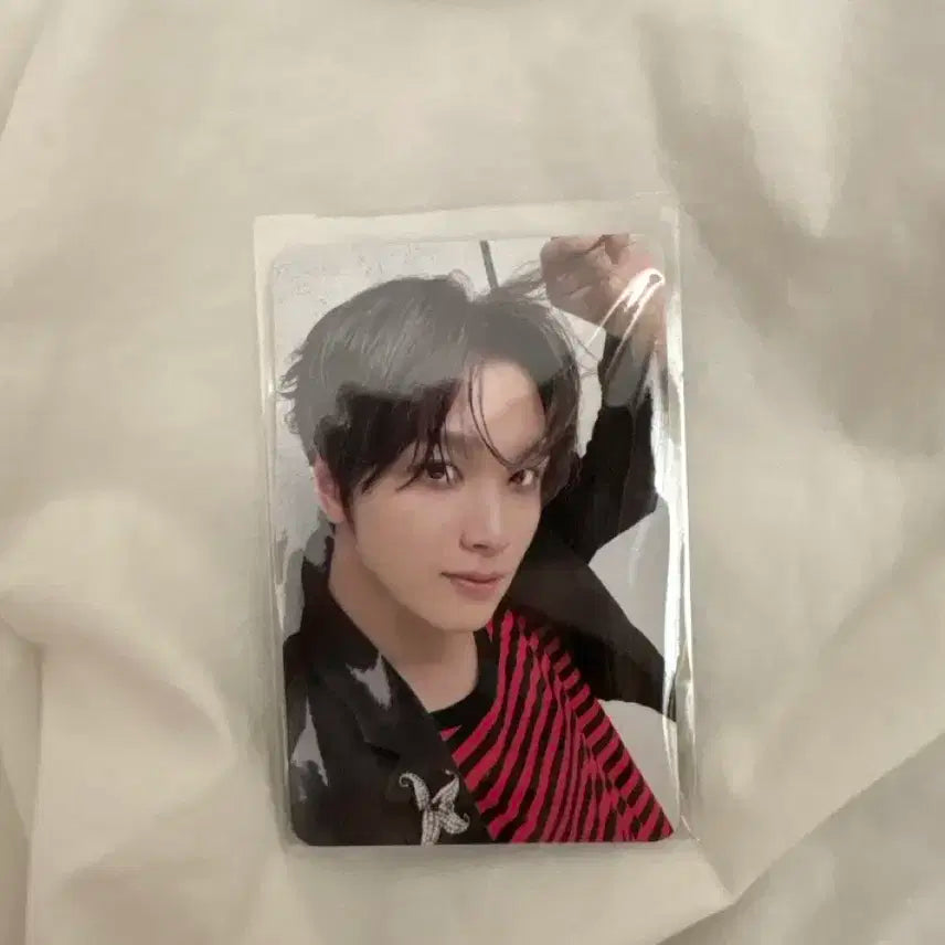 해찬 TASTE savory 버전 포카 양도