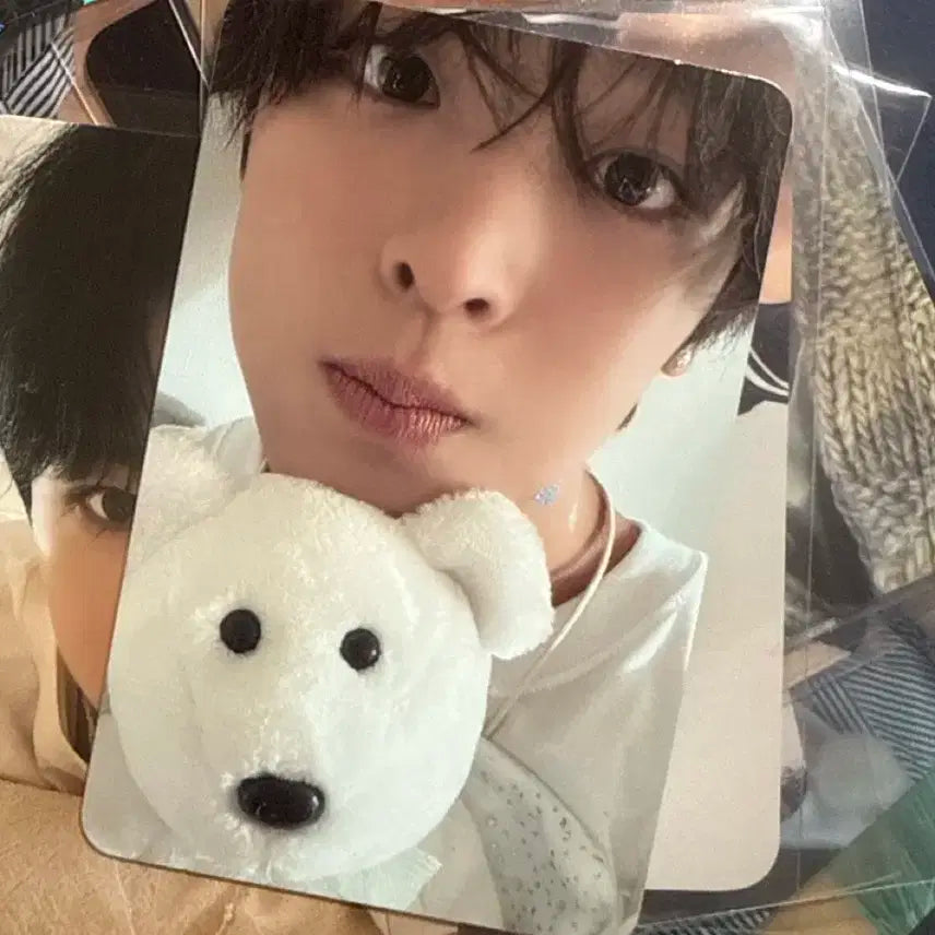 프시케 스테디 리쿠 포카 판매합니다