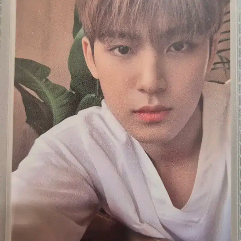 세븐틴 민규 해피엔딩 포토카드 양도