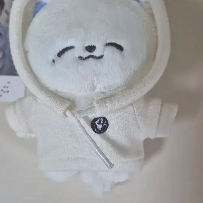 엔시티드림 nctdream 제노 10cm 인형 이미미 인형옷