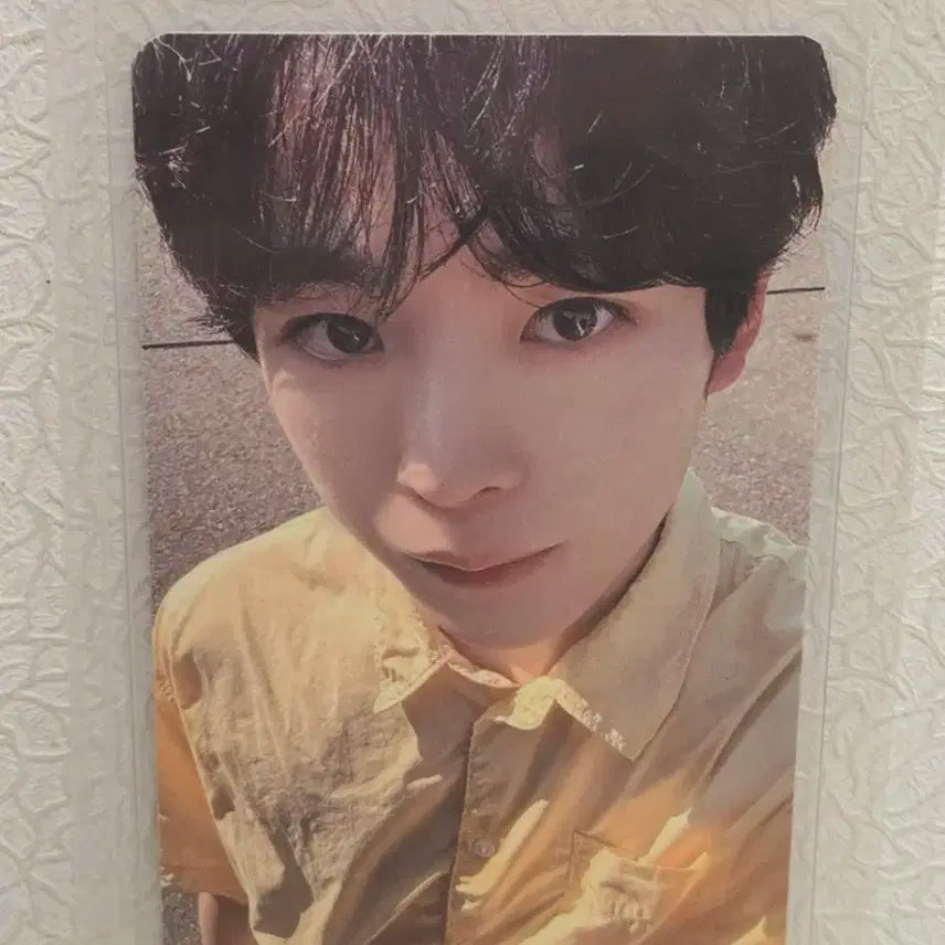 nct wish 엔시티위시 팝팝 디마뮤 유우시 포카