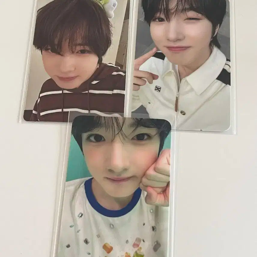 엔시티 위시 사쿠야 에버랜드 포토카드 일괄 판매