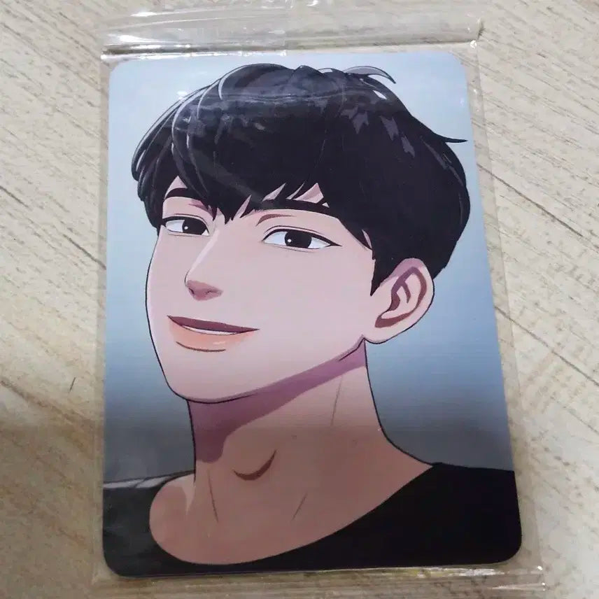 플레이브 여섯번째여름 미공포 1차 케타포 (하민)