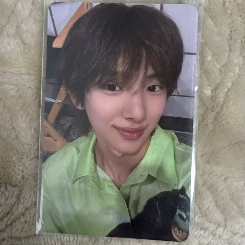 코르티스 주훈 와츄원 공방포카 양도