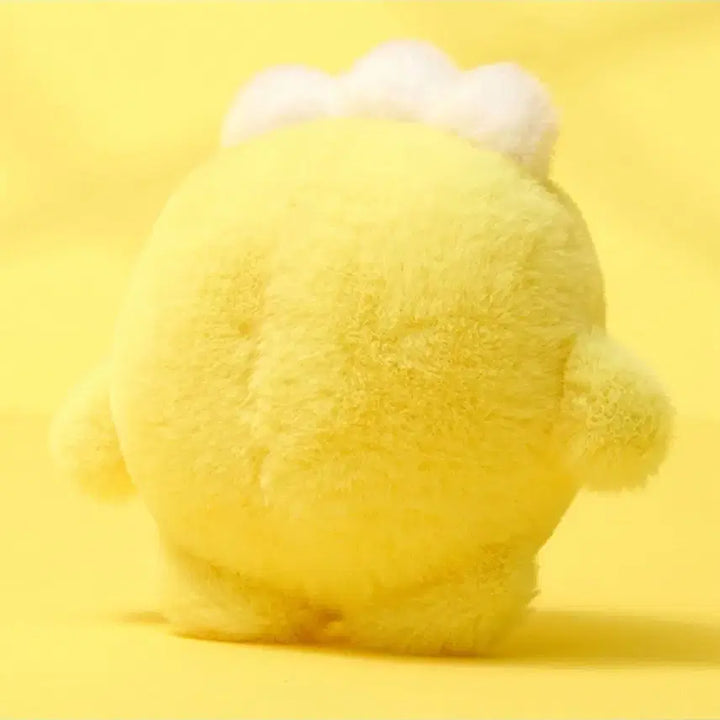 트레저 트루드 뉴본 베이비 포동 plush doll 특전 포카포함