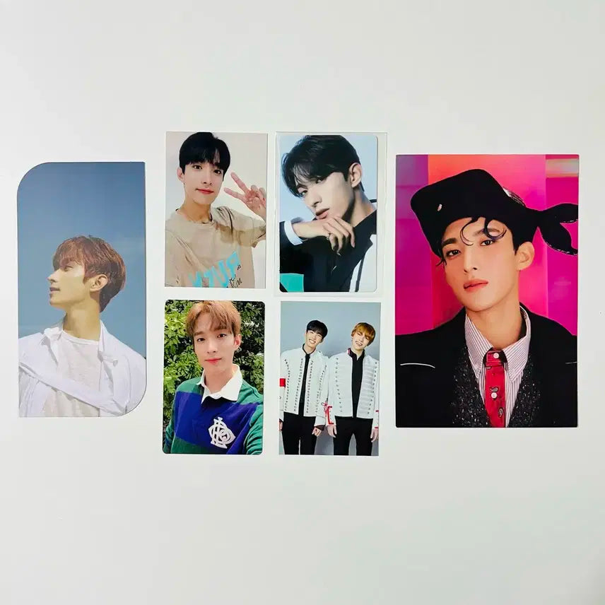 세븐틴 월드투어 오드 투 유 Ode to you 도겸 캐럿존 포카 일괄