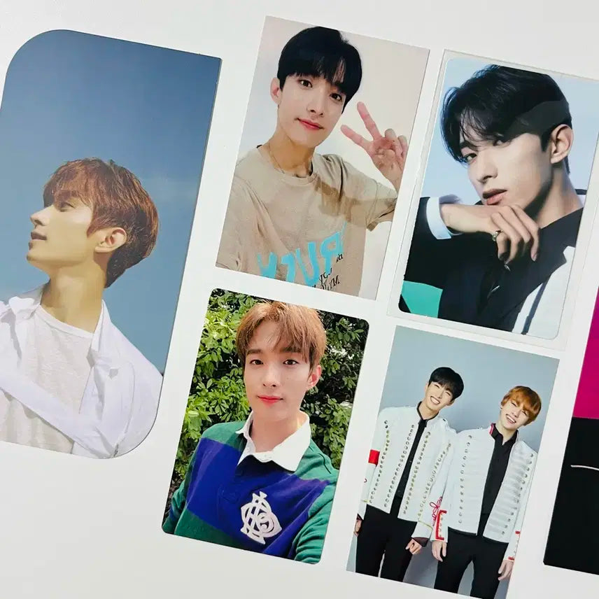 세븐틴 월드투어 오드 투 유 Ode to you 도겸 캐럿존 포카 일괄