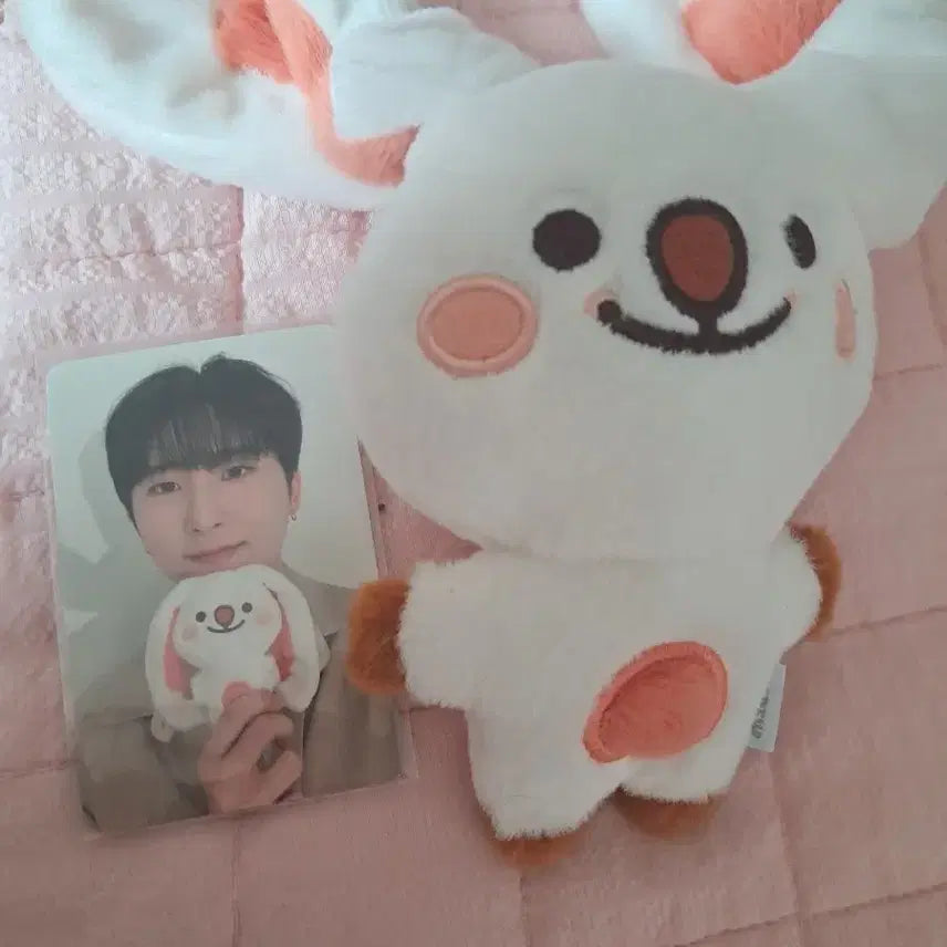 크래비티 우빈 인형 우카 판매