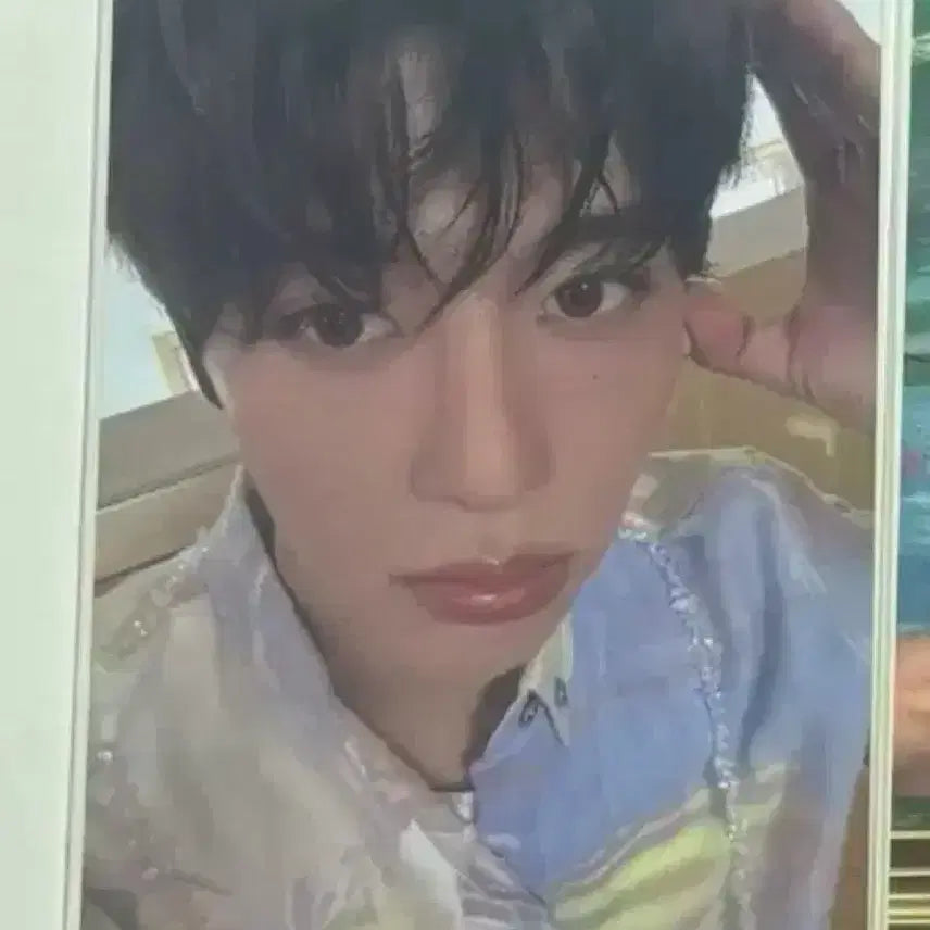 엔시티위시 에버라인 시온 특전 포카 컬러 포카