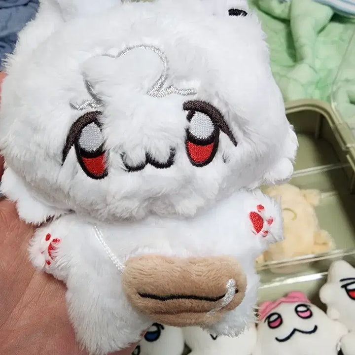 똥글이브 은호(전시만한거)