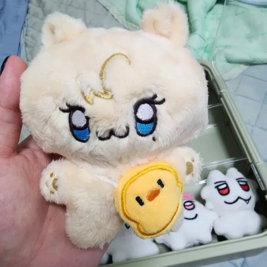 똥글이브 노아(전시만한거)