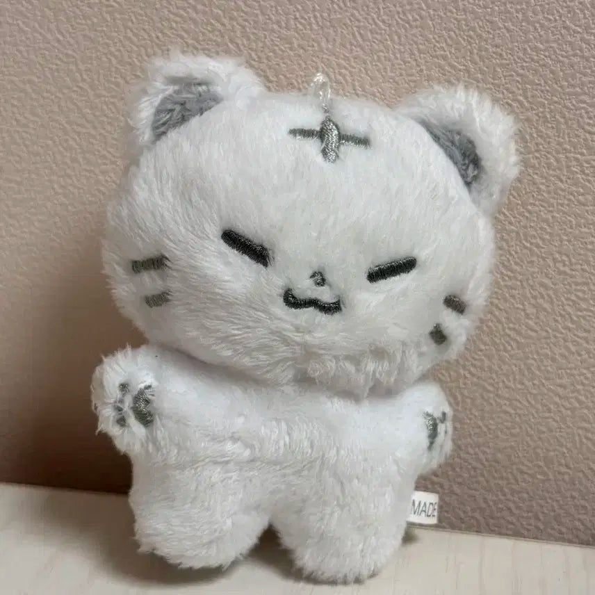 호시인형 세븐틴 호찌인형