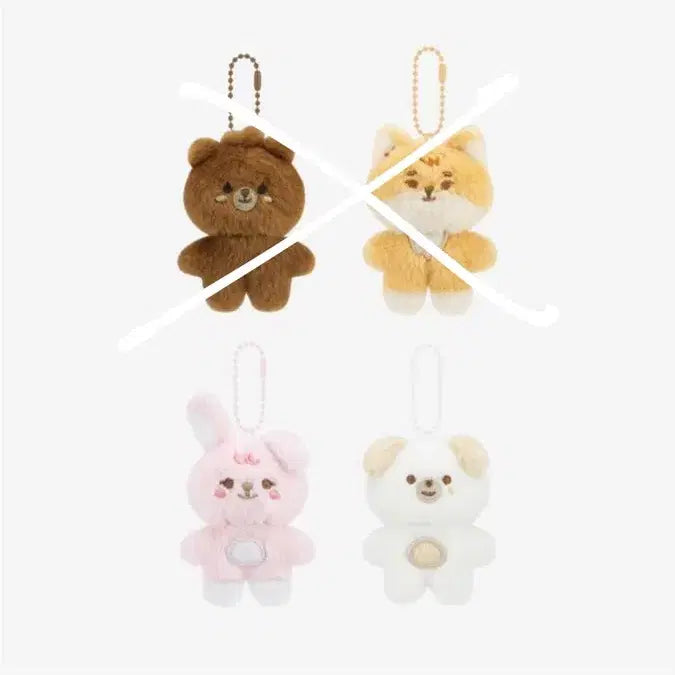 데이식스 쁘쁘멀 돈 판매합니다