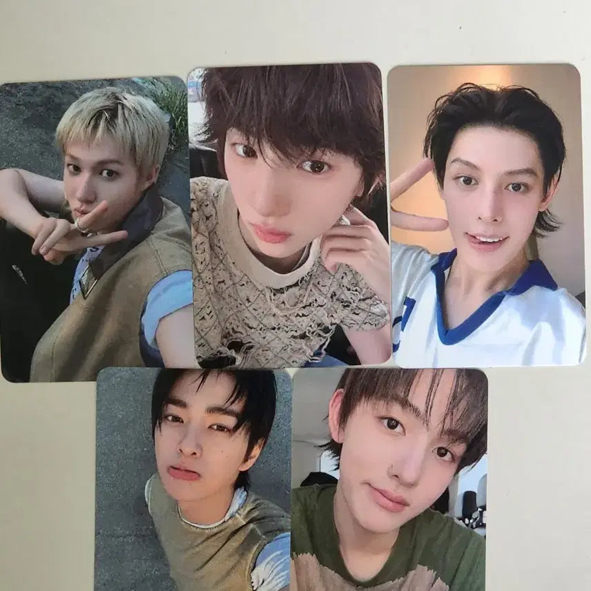 코르티스 블드미 미공포 양도