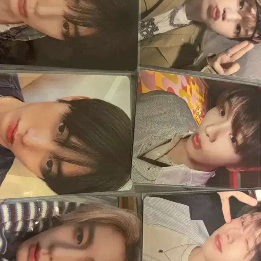 급전) 보넥도 보이넥스트도어 포카 일괄 양도