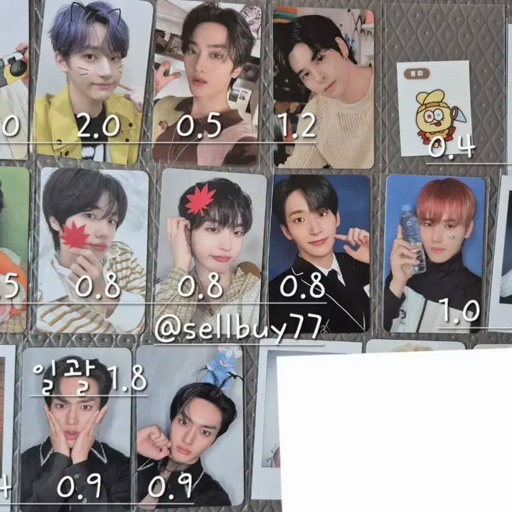 크래비티 포카 양도