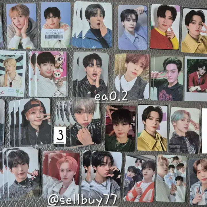 크래비티 포카 양도