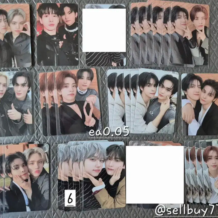 크래비티 포카 양도