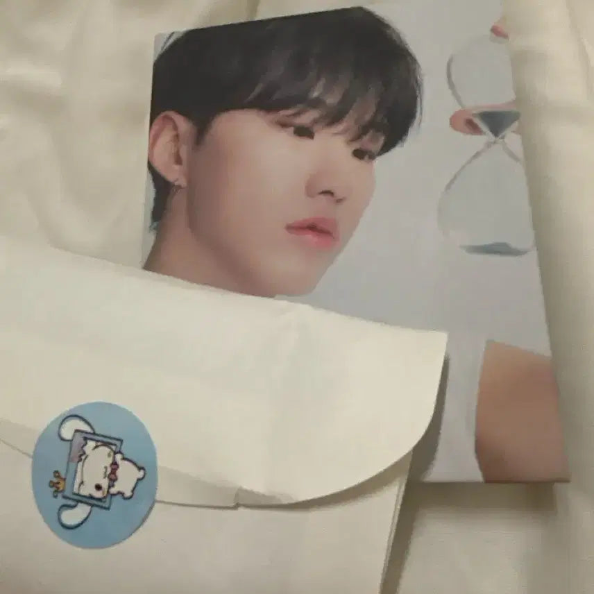 세븐틴 호시 캐럿반