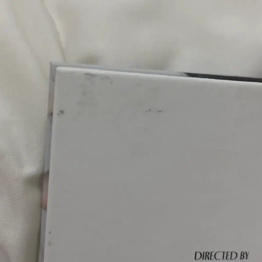 세븐틴 호시 캐럿반