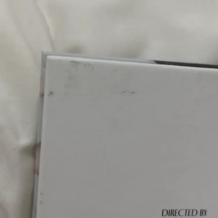 세븐틴 호시 캐럿반