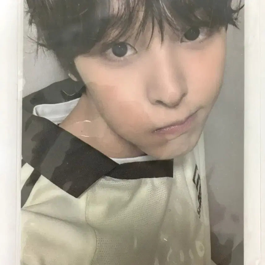 엔시티 위시 리쿠 송버드 sm 슴스토어 미공포 포카