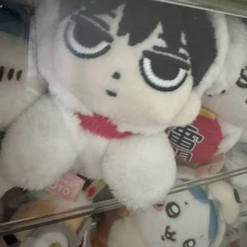 에스파 윈터 직둥이 판매