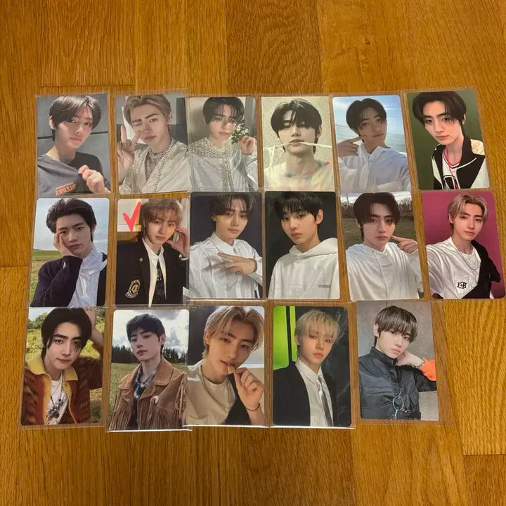 엔하이픈 성훈 포카 포토카드 일괄