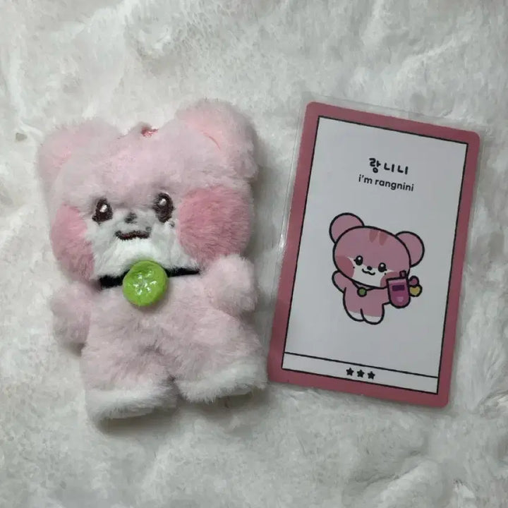 이서 랑니니 인형 판매