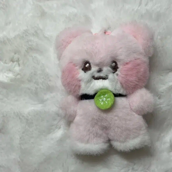이서 랑니니 인형 판매
