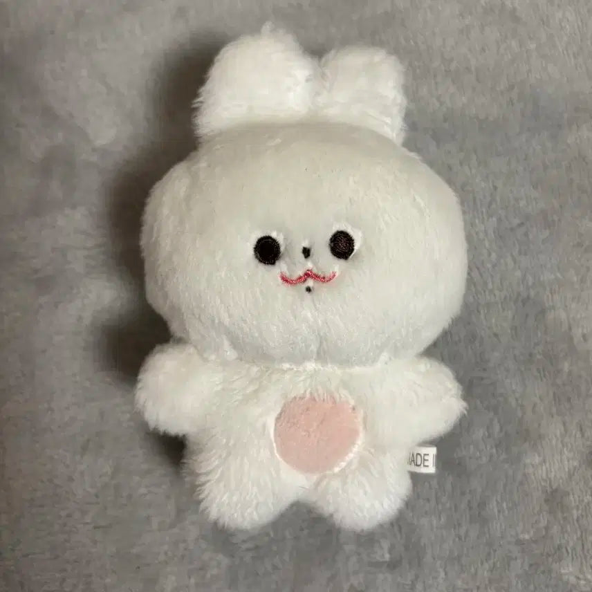 진짜 급처)BTS 방탄소년단 정국 전정국 인형 토꾸 양도 판매