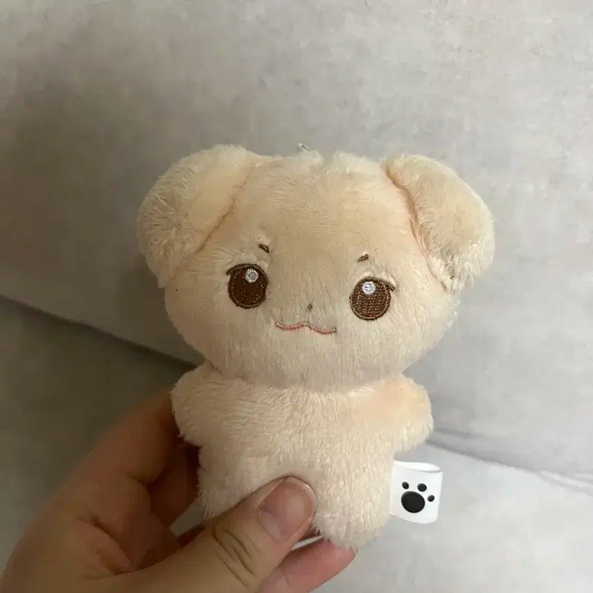 솜규빈 팝니다