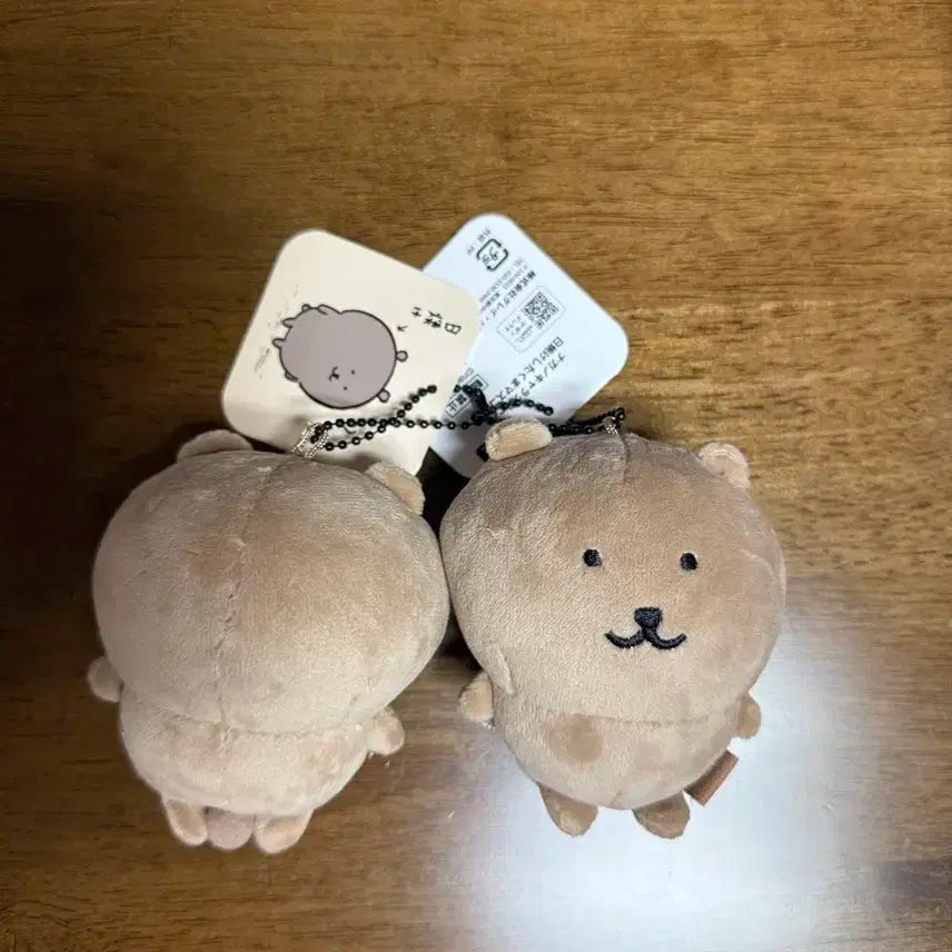 태닝 농담곰