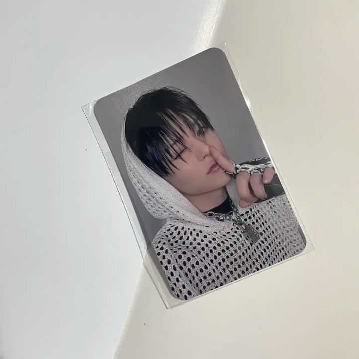 트레저 요시 러브펄스 LOVE PULSE 일본 무모샵 특전 포카 포토카드