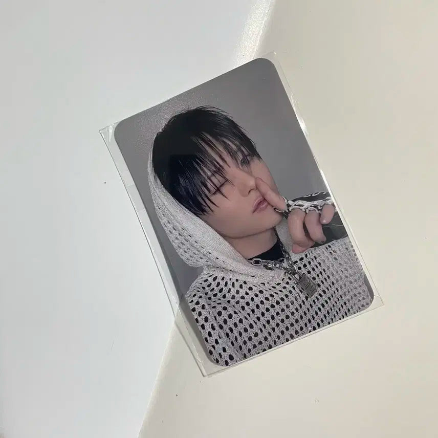 트레저 요시 러브펄스 LOVE PULSE 일본 무모샵 특전 포카 포토카드