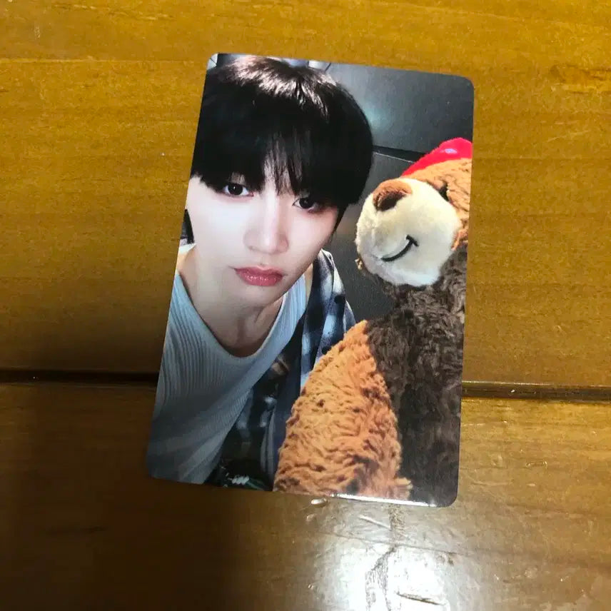 보넥도 보이넥스트도어 태산 이즈위 포카 양도 판매 처분