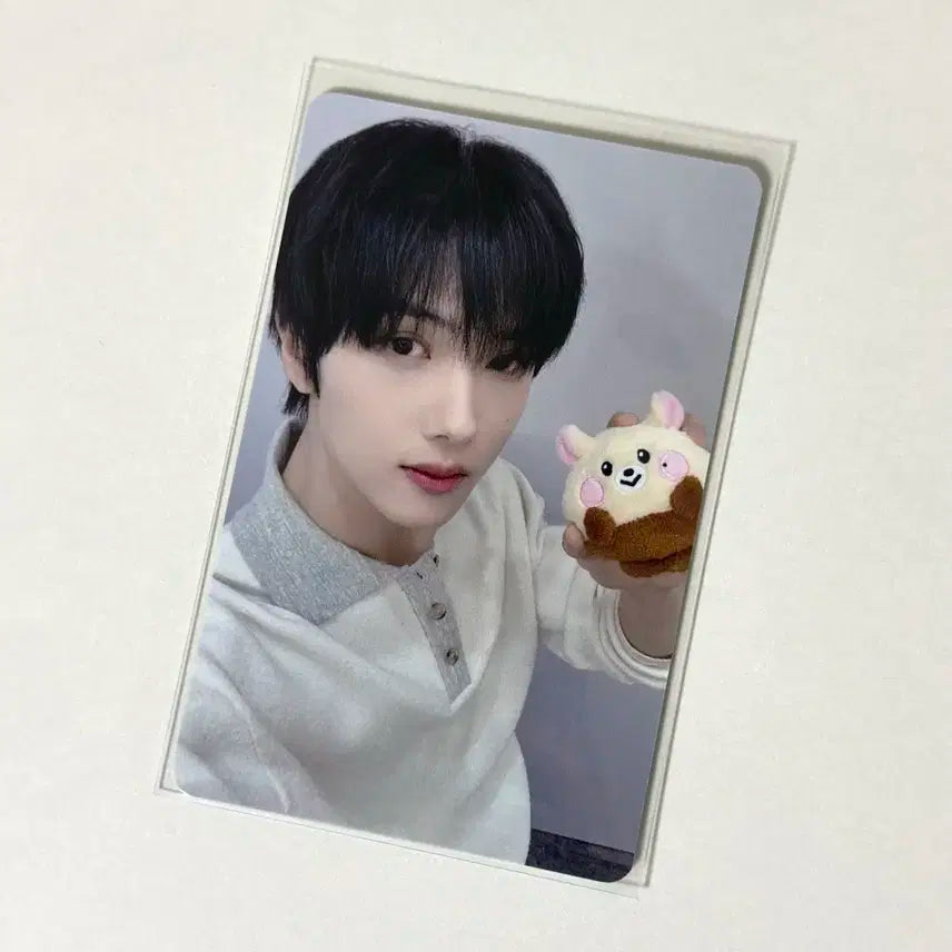 nct nctdream 엔시티드림 지성 밤찌 8주년 포카 양도