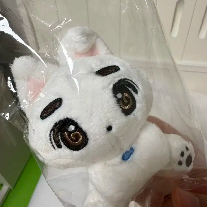 보이넥스트도어 이한 인형 뭉한이 양도