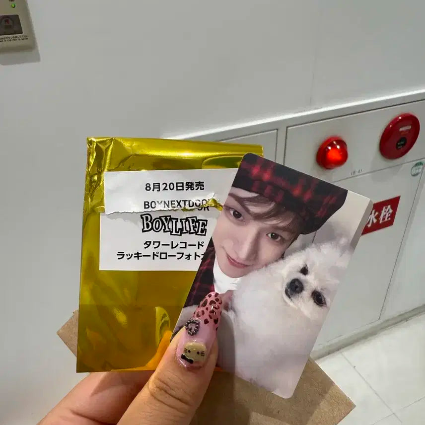 Boylife 타워레코드 리우 포카