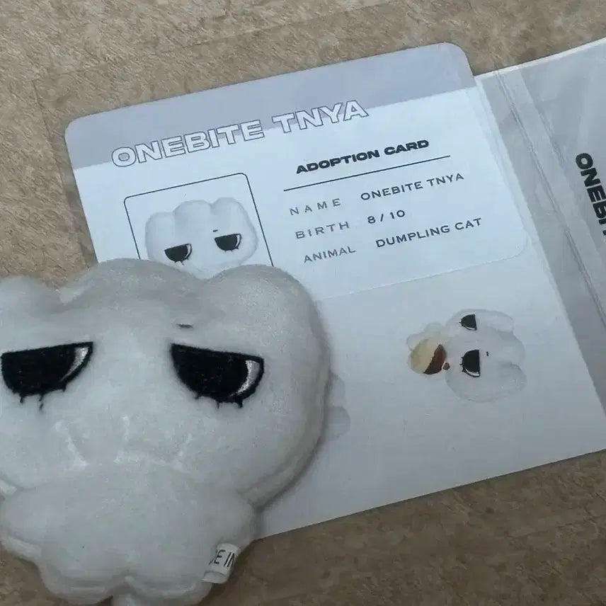 보이넥스트도어 태산 인형 한입티냐 양도