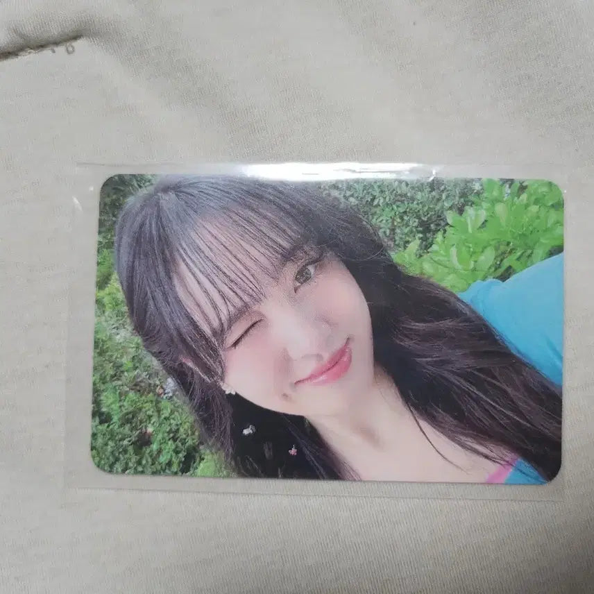 아이브 리즈포카