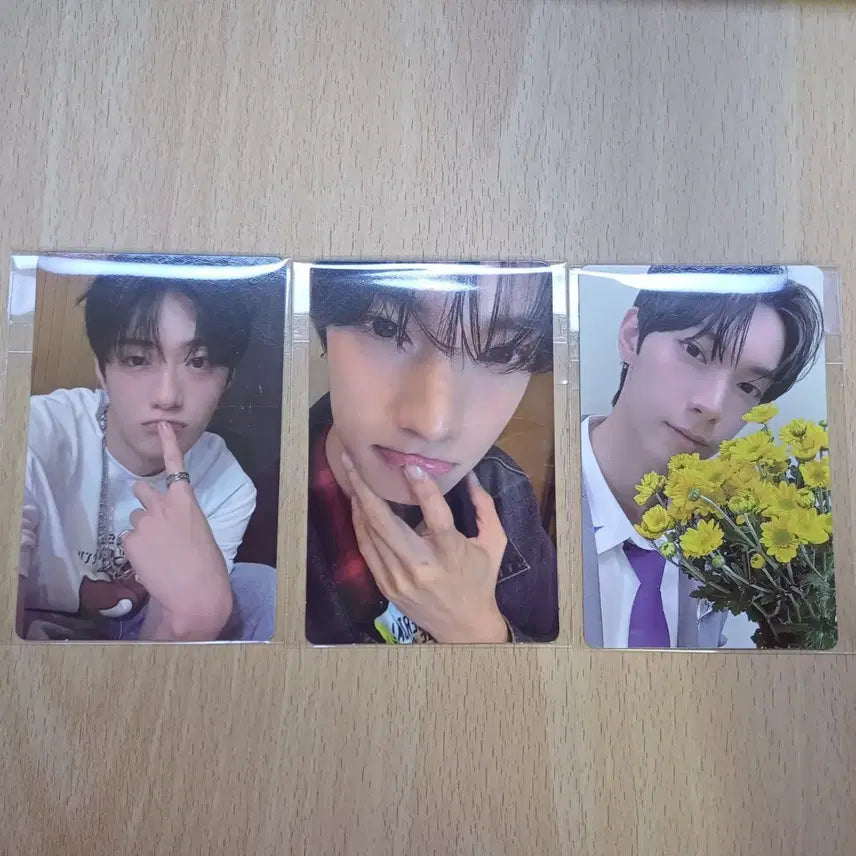 정상현 최립우 전시회 포카