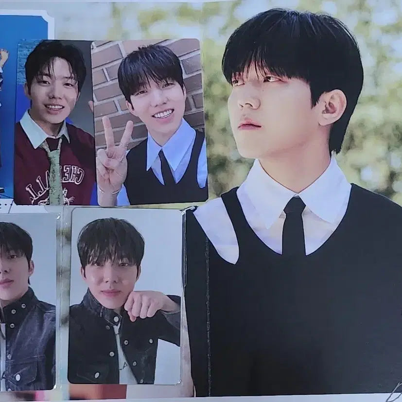 데이식스 도운 포카 일괄