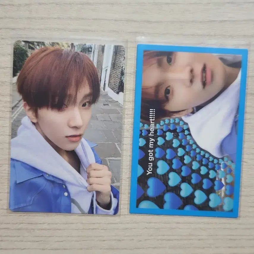 보넥도 운학 포카 얼윈파