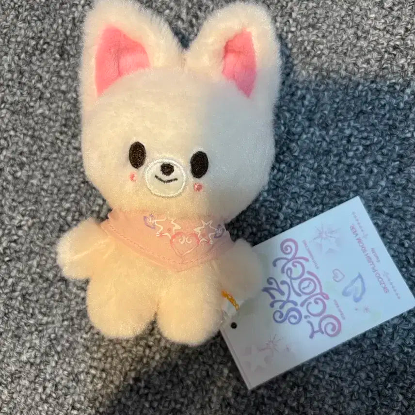 스트레이키즈 스키즈 아이엔 폭시니 10cm 팬미팅 MD 양정인