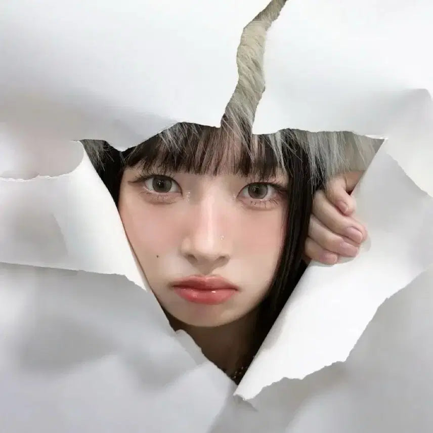 외출안함/택있음)아이브 미니브 레이 나오리 인형