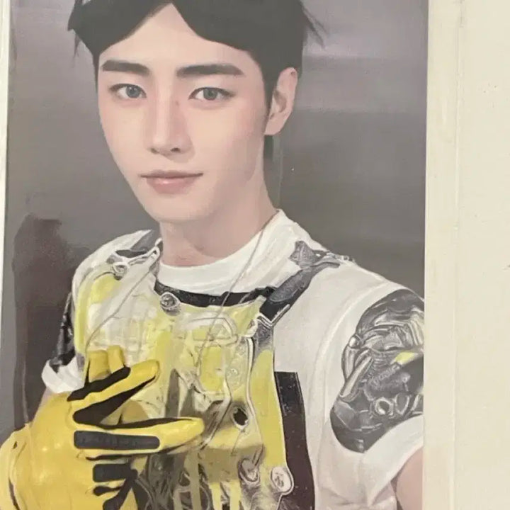 엔하이픈 성훈 포카 케이타운포유 특전 디자이어언리쉬 포토카드