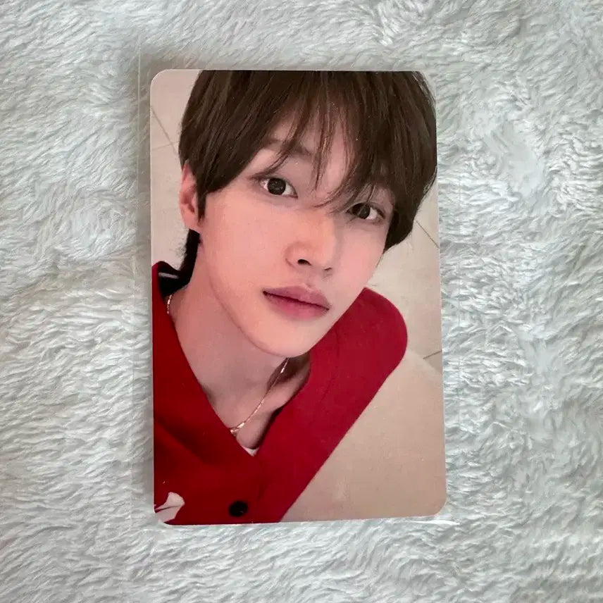 라이즈 원빈 오디세이 미니레코드 mini record 포카 포토카드