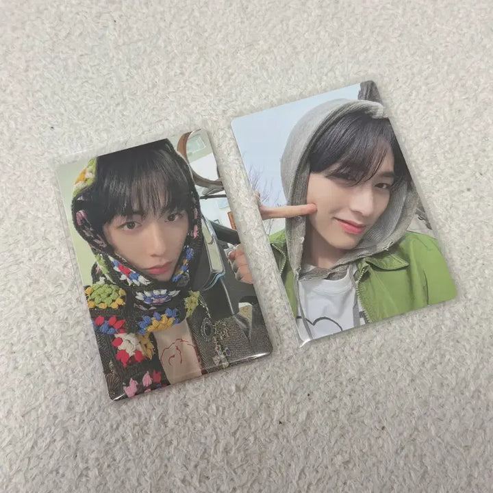 보이넥스트도어 보넥도 태산 포카 크런치 일괄