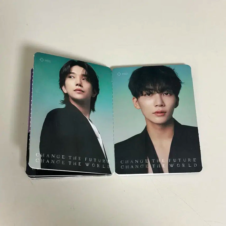 세븐틴 가다실 포카